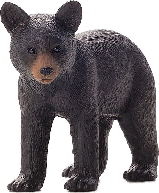 Black Bear Cub