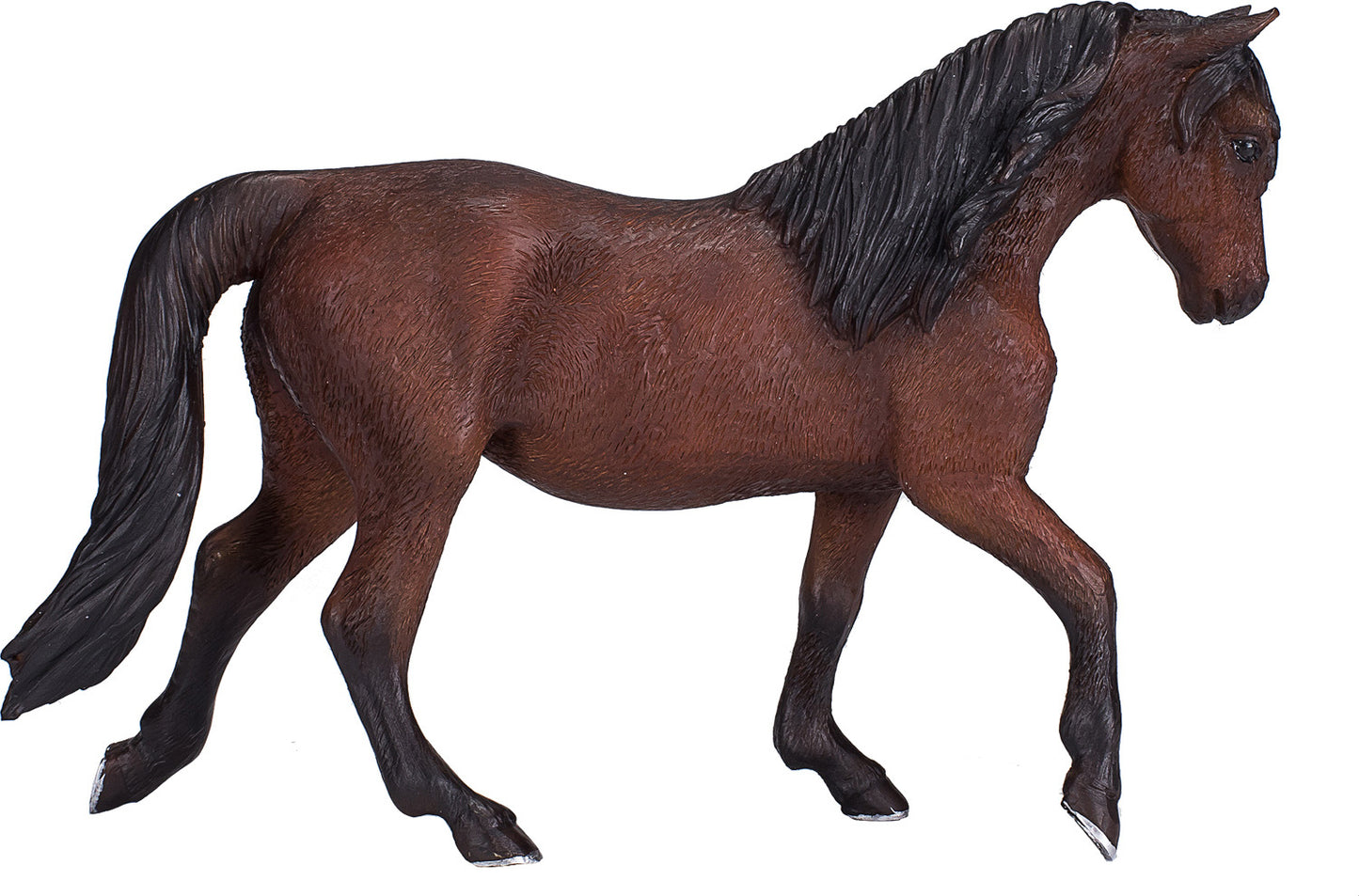 Morgan Stallion Palomino