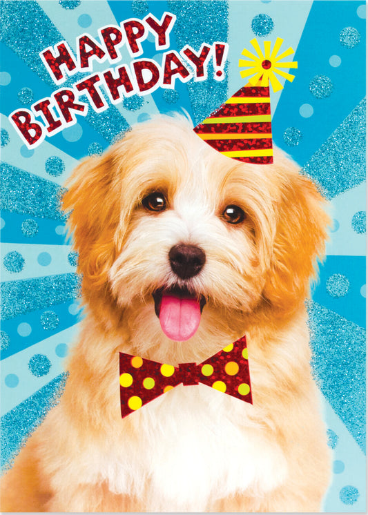 Birthday Dog  Glitter Card
