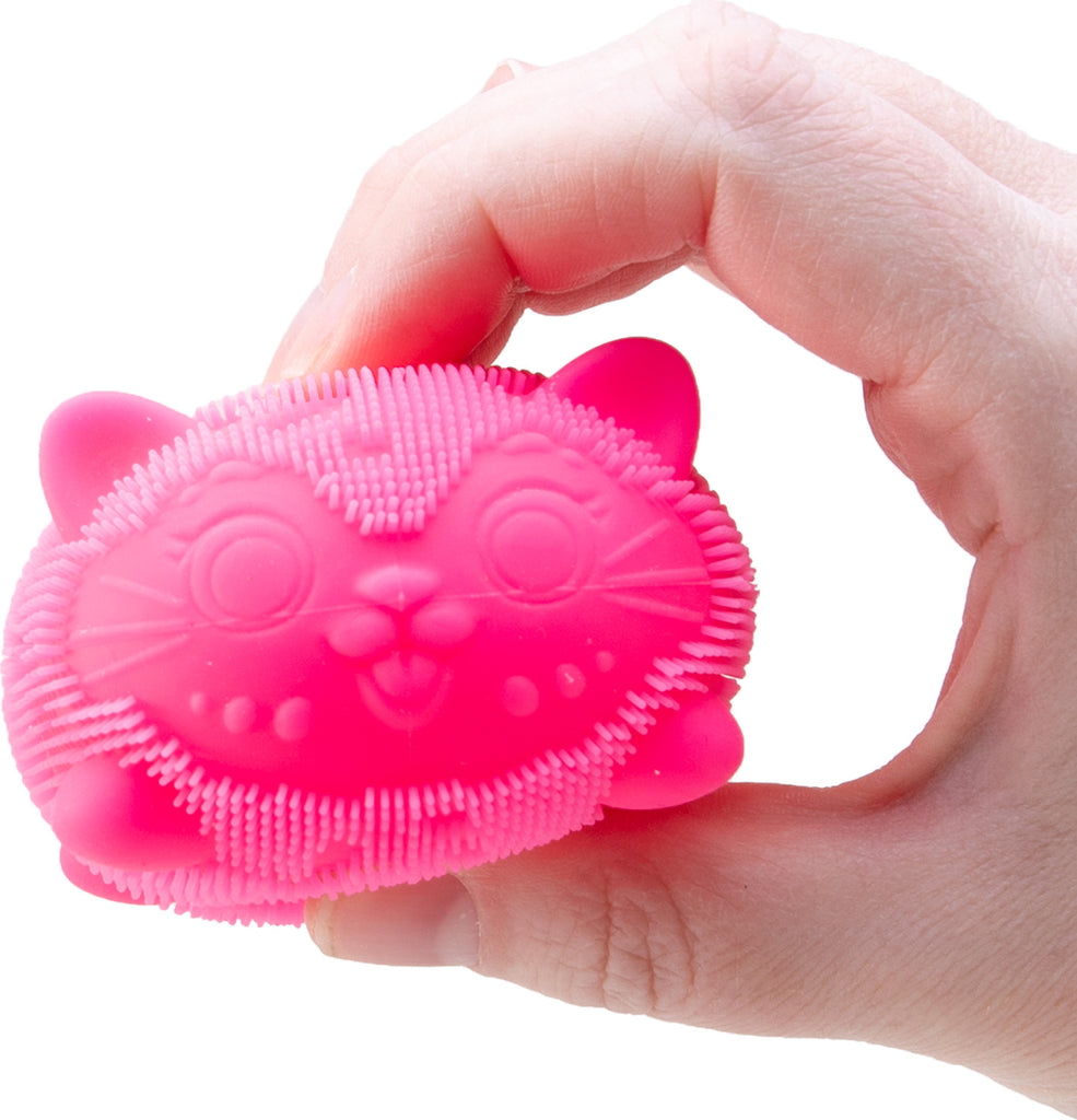Wild Cats Fuzz Ball NeeDoh (assorted)